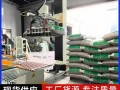 袋装葵花籽立柱式机器人码垛机